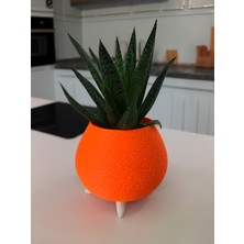 Paprika Saksı - Dekoratif Vemodern