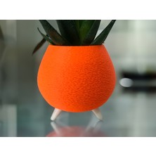 Paprika Saksı - Dekoratif Vemodern