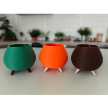 Paprika Saksı - Dekoratif Vemodern