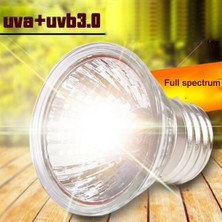 Longbangdian Shop 50W ve Beyaz Tutucu Stili 110V Uva+Uvb 3.0 Sürüngen Lamba Seti Klipsli Lamba Tutucu Ampul Termometre Higrometre Kaplumbağa Kaplumbağa Kertenkele Basking Isı Işığı (Yurt Dışından)