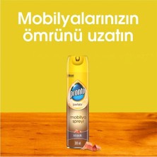 Pronto Ahşap Cilası 300 Ml - 4'Lü Paket