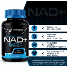 Wellness Labsrx Nad Supplement  1500mg - Nad+ Supplement With Resveratrol 90 Capsul