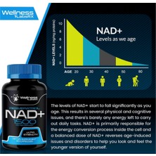 Wellness Labsrx Nad Supplement  1500mg - Nad+ Supplement With Resveratrol 90 Capsul