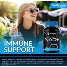 Wellness Labsrx Nad Supplement  1500mg - Nad+ Supplement With Resveratrol 90 Capsul