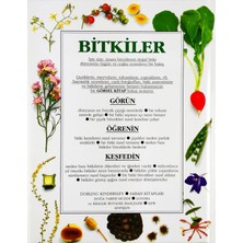 Bitkiler - Bitkilerin İnsanı Büyüleyen Dünyasını, Yapılarını, Çeşitlerini ve Yaşam Öykülerini, Keşfedin