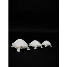 Lu Design 3lü Beyaz Kaplumbağa Set Biblo