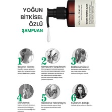 Botanica Comfort Sebum Dengeleyici Yağlanma Karşıtı Siyah Aronya Üzümü Aleo Vera Özlü Kök Güçlendirici Şampuan 400 Ml