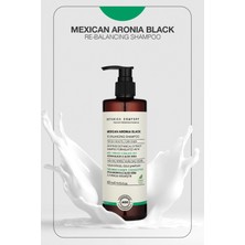 Botanica Comfort Sebum Dengeleyici Yağlanma Karşıtı Siyah Aronya Üzümü Aleo Vera Özlü Kök Güçlendirici Şampuan 400 Ml