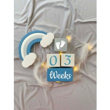 Bianne Atölyesi Grimavi Bebek Anı Küp Seti ve Gökkuşağı Fotoğraf Çekim ve Dekor Için Ingilizce