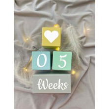 Bianne Atölyesi Bebek Anı Küp Seti Fotoğraf Çekim ve Dekor Için Ingilizce