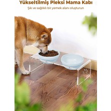 GOBYPET Kedi ve Köpek Dekoratif 2'li Seramik Pleksi Mama & Su Kabı + Kedi Paspası Mavi