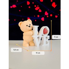Alvina Atölye Ayıcık Love Biblo - Teddy Bear Doğum Günü Hediyesi - Sevgiliye Hediye - Bioplastik