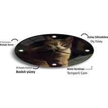 Emya Home Kedi Cam Saat - 40 cm