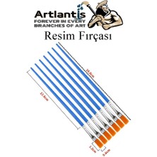 Artlantis Resim Fırçası 10 Adet