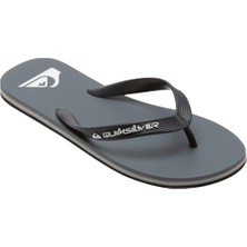 Quiksilver Molokai Core Erkek Gri Terlik