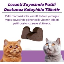 Vet's Plus Sterilised Çiğnenebilir Tablet 60'lı (Kısır Kediler için Yaban Mersinli Urinary Destek)