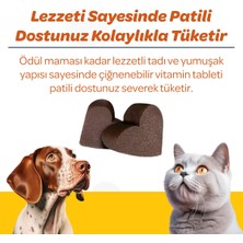 Vet's Plus Immune Çiğnenebilir Tablet 60'lı (Kedi ve Köpekler için Immune Bağışıklığı Destekleyici)