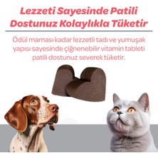 Vet's Plus Senior Çiğnenebilir Tablet 60'lı (Kedi ve Köpekler için Inulin ve Glukozamin Desteği)