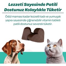 Vet's Plus Dental Çiğnenebilir Tablet 60'lı (Kedi ve Köpekler için Diş Bakımı)