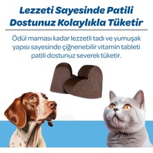 Vet's Plus Derma Care Çiğnenebilir Tablet 60'lı (Kedi ve Köpekler için Deri ve Tüy Sağlığı Destekleyici)