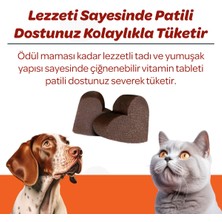 Vet's Plus Multivitamin Çiğnenebilir Tablet 60'lı (Kedi ve Köpekler için Spirulinalı Multivitamin)