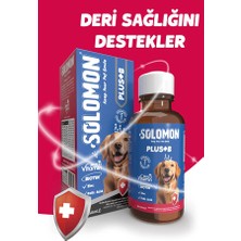 Solomon Köpek Sağlıklı Tüy Seti