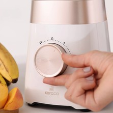 Karaca Premium Limited Edition Cam Sürahili Paslanmaz Çelik Bıçaklı Smoothie Blender