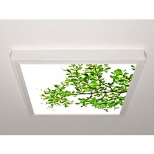Gök Panel 60X60 LED Panel Aydınlatma Armatür Avize Sıva Üstü Desenli Tekli 46510496SU