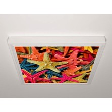 Gök Panel 60X60 LED Panel Aydınlatma Armatür Avize Sıva Üstü Desenli Tekli 46510665SU