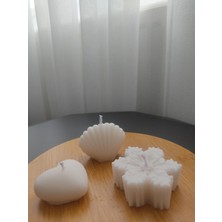 Viollet Art And Design 3'lü Kalp Kar Tanesi ve Istiridye Mum Seti