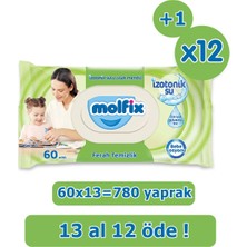 Molfix Izotonik Sulu Islak Mendil Ferah Temizlik 780 Adet
