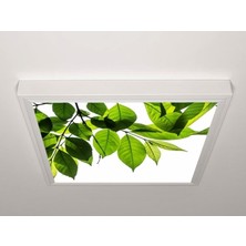 Gök Panel 60X60 LED Panel Aydınlatma Armatür Avize Sıva Üstü Desenli Tekli 46510408SU