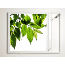 Gök Panel 60X60 LED Panel Aydınlatma Armatür Avize Sıva Üstü Desenli Tekli 46510408SU
