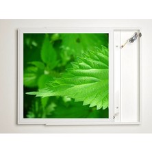 Gök Panel 60X60 LED Panel Aydınlatma Armatür Avize Sıva Üstü Desenli Tekli 46510465SU