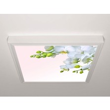 Gök Panel 60X60 LED Panel Aydınlatma Armatür Avize Sıva Üstü Desenli Tekli 46510592SU