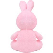 Mevafa Tavşan 20 cm Pembe peluş Ayı