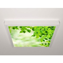 Gök Panel 60X60 LED Panel Aydınlatma Armatür Avize Sıva Üstü Desenli Tekli 46510406SU