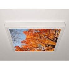 Gök Panel 60X60 LED Panel Aydınlatma Armatür Avize Sıva Üstü Desenli Tekli 46510478SU