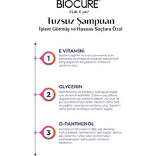 Biocure Tuzsuz Şampuan - Arındırıcı Günlük Saç Bakım Şampuanı / Parabensiz 500ML