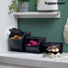 Tupperware Patates Soğan Sarımsak Saklayıcı 3'lü Set