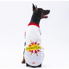 Pawstar Gri Summer Time Büyük Köpek Tişörtü - Köpek Kıyafeti (15 Kg-45 Kg)