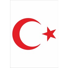 Sticker Dizayn Yırtıklı Türk Bayrağı Pençe Sticker 00034