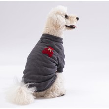 Pawstar (K) Antrasit Turtleneck Köpek Sweati Köpek Kıyafeti Kedi Kıyafeti