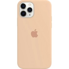 Soft Store TR iPhone 11 Uyumlu Gül Kurusu Rengi Logolu Lansman Içi Kadife Silikon Kılıf