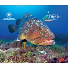 Su Altında Türkiye From Underwater (Ciltli)