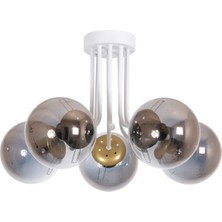 Fer Avize Daisy Modern Renk Globe Camlı Salon - Mutfak - Yatak Odası 5 Li Avize