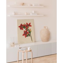 Pegziz Ipek Pamuk Ağaçı Çiçeği Kanvas Tablo