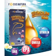 Asbien Focus Natura Plus  Sitikolin , Balık Yağı , Epa ,Dha