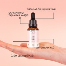 Polente Natural Gül & Jojoba Canlandırıcı Yüz Yağı (30 ml)