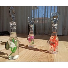 Seinns Teknoloji 2 Adet Şişe Modeli Sulu Mıknatıslı Gazoz Soda Açacağı